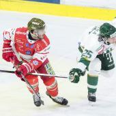 Die Foxes und Ferencvaros stehen sich seit 14 Uhr gegenüber. © Vanna Antonello