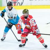 Bozen-Stürmer Shane Gersich. © Vanna Antonello