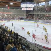 Das Derby findet vor rund 7.000 Fans statt. © Tobias Unterhofer / HCB/Vanna Antonello