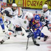 Les Cavaliers des Antilles affronteront Asiago mardi soir. © S. Fantini