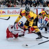 Der HC Pustertal (in gelb) trifft auch einen hochkarätigen Gegner.