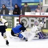 Die Wildpferde spielen gegen die Eisbären. © Instagram / daniele_frusone_photography