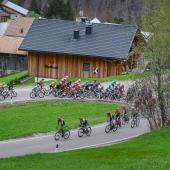 Auch heuer messen sich die Radprofis auf den Straßen der Euregio. © Josef VAISHAR