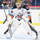 Damian Clara in den Farben der San Diego Gulls. © San Diego Gulls