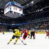 In der BCF-Arena gehen die WM-Spiele über die Bühne. © ANSA / ANTHONY ANEX