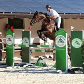Das Springreitturnier in Wiesen ist am Höhepunkt angelangt.