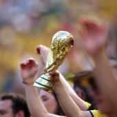 Die FIFA verkauft den Rasen aus dem WM-Finale. © APA / CARL RECINE