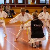 Karate Mühlbach – eine Erfolgsstory. © KARATE MUHLBACH