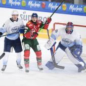 Kometa Brno und die Augsburg Panthers lieferten sich am Freitagabend einen heißen Fight in Neumarkt. © M. Pattis