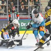 Eddie Pasquale & Co. treffen auf die Black Wings Linz. © I. Foppa / HCP