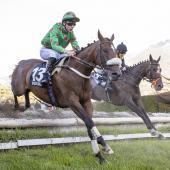 Gangster de Coddes und Speed Emile (von rechts) greifen am Sonntag nach den Sternen. © FOTO PRESS ARIGOSSI 2025