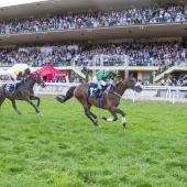 In den vergangenen zwei Jahren überquerte Speed Emile (rechts) beim Großen Preis Meran Südtirol jeweils als Erster die Ziellinie. Der Franzose wird auch am Sonntag bei der 87. Ausgabe am Start sein. © _G.Z._