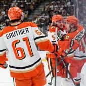 Die Anaheim Ducks jubelten in der Verlängerung. © APA / ETHAN MILLER