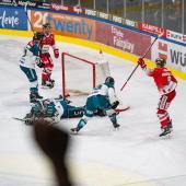 In der Bozner Arena wurde auch an diesem Abend reihenweise gejubelt. © HCB/Loris Bregolato