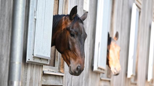 The US rider was banned for several years. © APA/dpa / Bernd Weißbrod