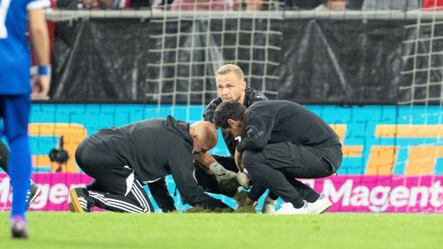 A hole in the lawn © APA / GEORG HOCHMUTH