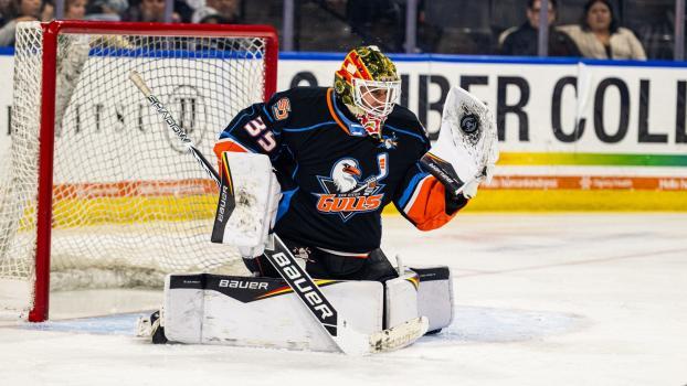 Damian Clara hat ein perfektes Saisondebüt für die San Diego Gulls hinter sich. © Social Media / San Diego Gulls