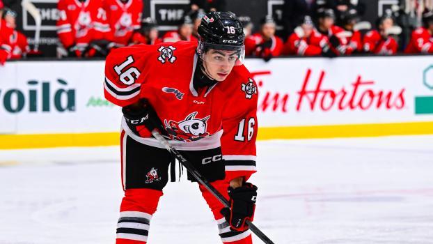 Michael Levin spielt künftig für den HC Meran. © OHL Images / Brandon Taylor