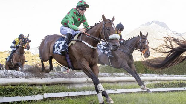 Gangster de Coddes und Speed Emile (von rechts) greifen am Sonntag nach den Sternen. © FOTO PRESS ARIGOSSI 2025