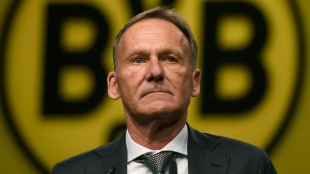 Hans-Joachim Watzke: Mächtige Stimme beim BVB und der Deutschen Fußballliga. © APA/afp / INA FASSBENDER