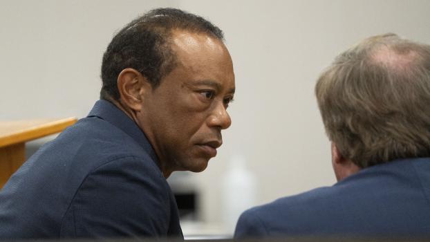 Tiger Woods erklärte sich schuldig. © APA/afp / CRYSTAL VANDER WEIT