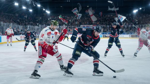 Beim Duell Mailand gegen Bozen wurde großes Spektakel geboten, auf und abseits des Eises © MHC/Nicola Martello