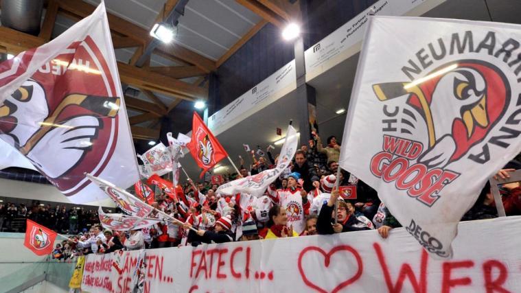 Die Neumarkter Fans können sich auf fünf Testspiele freuen