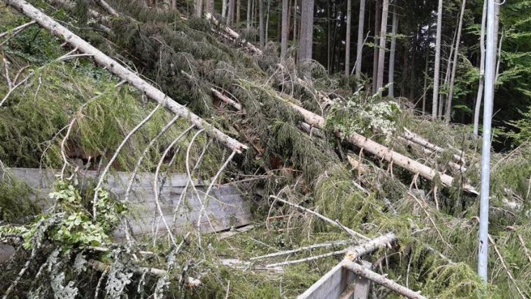 Die Pfösl-Riep-Bahn wurde an mehreren Stellen schwer beschädigt © privat