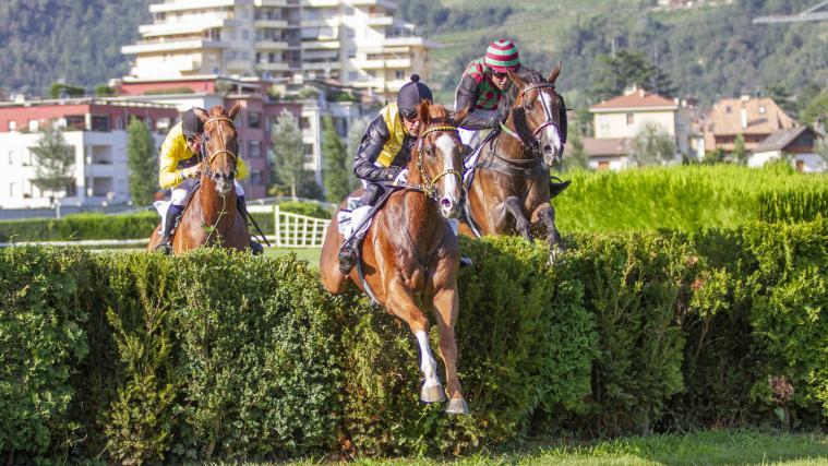 Lord Des Places wants the double in Merano. © FOTO PRESS ARIGOSSI 2022