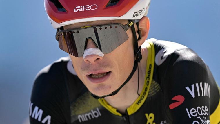 Jonas Vingegaard est tombé au sol. © APA/afp / LOIC VENANCE