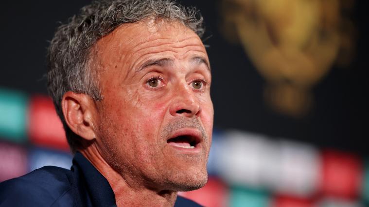 Luis Enrique träumt mit PSG vom Titel. © APA / ALEX GRIMM