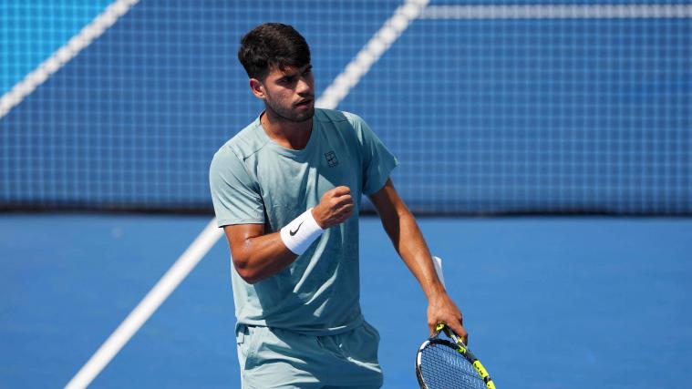 After a close match, Carlos Alcaraz finally managed to raise his fist. © APA / DYLAN BUELL
