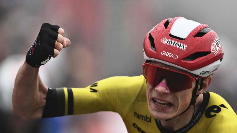 So bejubelte Jonas Vingegaard seinen Sieg. © APA/afp / MARCO BERTORELLO