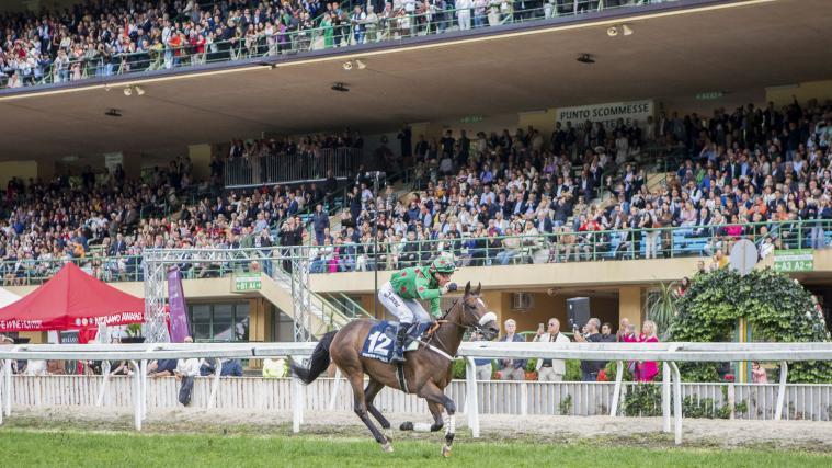 What a spectacle: More than 10.000 spectators cheered Speed ​​Emile on his victory in the 85th Merano Grand Prix in 2024. The French horse will be back in action on Sunday with jockey Baptiste Le Clerc. © FOTO PRESS ARIGOSSI
