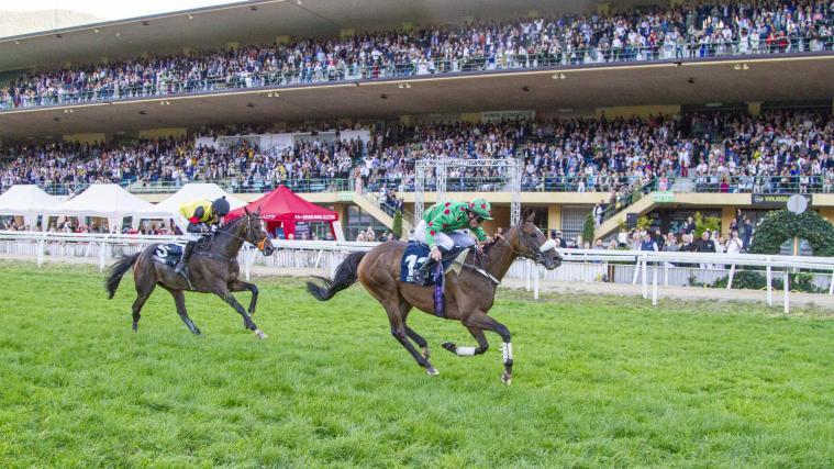 10.000 Zuschauer jubelten Ende September beim Großen Preis von Meran Speed Emile und Gangster De Coddes zu. © FOTOPRESS ARIGOSSI