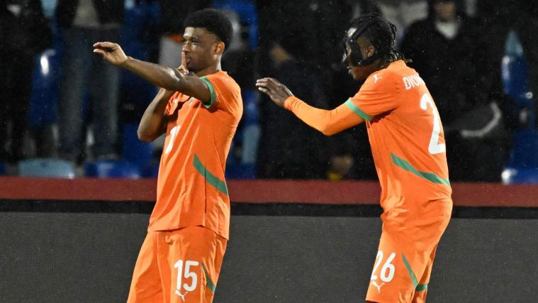 Die Elfenbeinküste ist mit einem Pflichtsieg gestartet. © APA/afp / KHALED DESOUKI