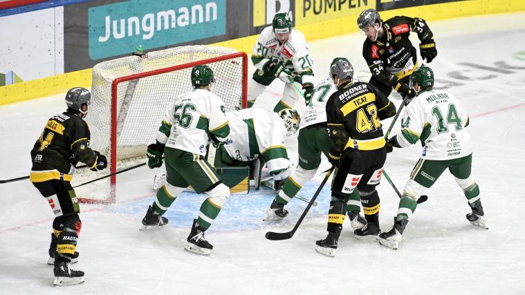 Pustertal feierte gegen Budapest einen klaren Erfolg. © HC Pustertal/I. Foppa