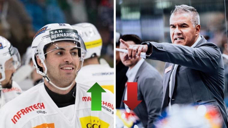 Die Auf- und Absteiger der Woche. © Red Bull Salzburg / Social Media / HCAP