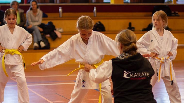 Karate Mühlbach – eine Erfolgsstory. © KARATE MUHLBACH