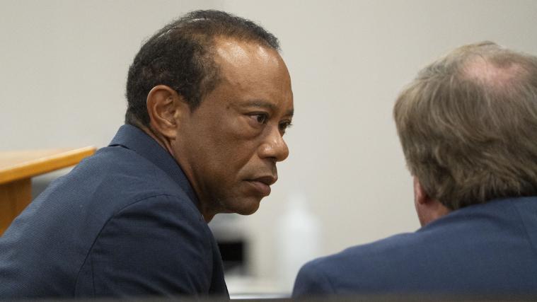 Tiger Woods erklärte sich schuldig. © APA/afp / CRYSTAL VANDER WEIT