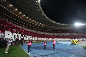 © APA / GEORG HOCHMUTH