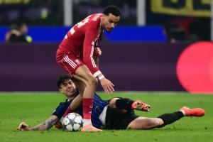 © APA/afp / MARCO BERTORELLO