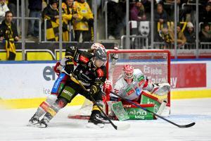 Alle Fotos: HCP/Iwan Foppa