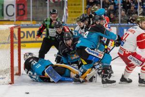 © HANNES DRAXLER / HANNES DRAXLER