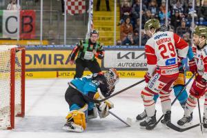 © HANNES DRAXLER / HANNES DRAXLER