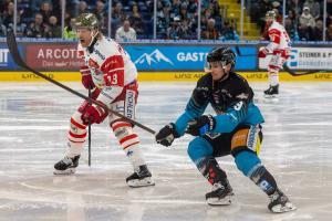 © HANNES DRAXLER / HANNES DRAXLER