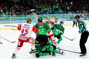 Alle Fotos: Filip Barbalic