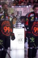 © APA / ERWIN SCHERIAU