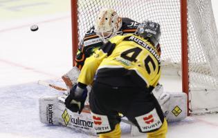 © APA / ERWIN SCHERIAU