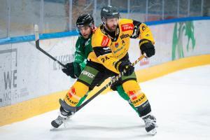 Alle Fotos: Domen Jancic